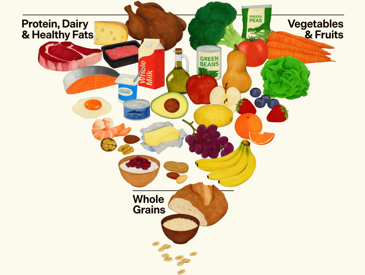 The 2026 food pyramid